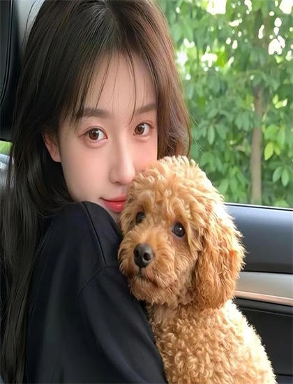 精彩解读：《木鸢迷踪》美学的艺术标准与审美价值——避免错过的精彩细节